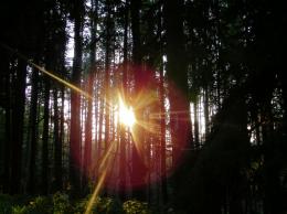Light in the Darkness